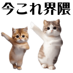 [LINEスタンプ] 踊る！今これにゃんこ