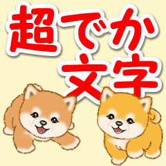 [LINEスタンプ] カラフル超でか文字♪ころころ豆柴