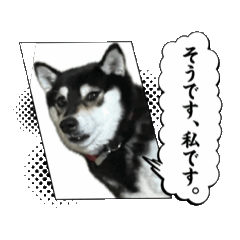 [LINEスタンプ] 動くYOSHIDA MOMO 