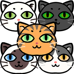 [LINEスタンプ] うちのニャンコたち(1)