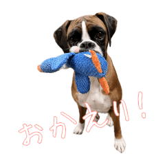 [LINEスタンプ] パワ子スタンプ1
