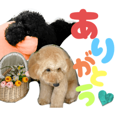 [LINEスタンプ] おこげとちょこび