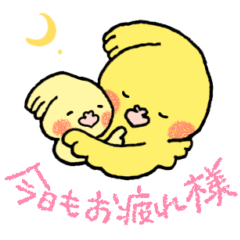 [LINEスタンプ] オカメインコのお気遣いスタンプ