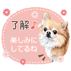 [LINEスタンプ] Pino♡日常スタンプ