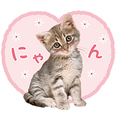 [LINEスタンプ] なつめの気まぐれスタンプ