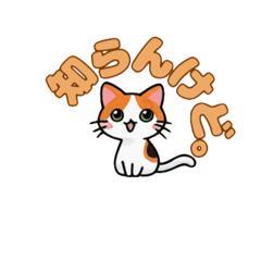 [LINEスタンプ] にゃんか知らんけど。