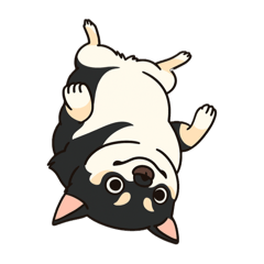 [LINEスタンプ] ショコラスタンプ1、 