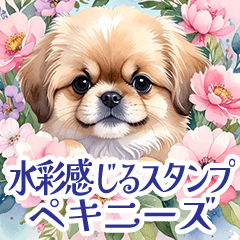 [LINEスタンプ] 水彩感じるペキニーズスタンプ
