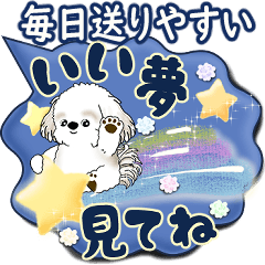 [LINEスタンプ] シーズー犬 「毎日送りやすい」カラフル第2