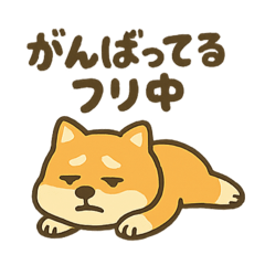 [LINEスタンプ] 動かない柴犬の気持ち、代弁します。 