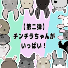 [LINEスタンプ] チンチラちゃんがいっぱい！【第二弾】