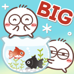 [LINEスタンプ] 毎日使える❤丸いヤツ6・BIG
