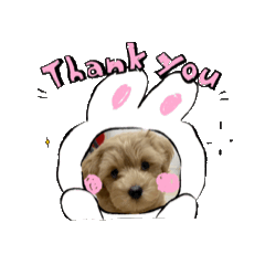 [LINEスタンプ] うちのらぶたん 