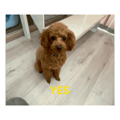[LINEスタンプ] 動くといねじ❤️ 
