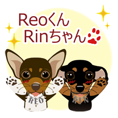 [LINEスタンプ] まめぴん321*ReoくんRinちゃん.ver