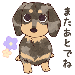 [LINEスタンプ] ダックス大好き！家族の連絡専用◆シルバー