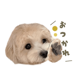 [LINEスタンプ] まるぷーおからくん その①