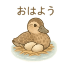 [LINEスタンプ] カルガモ親子 日本語