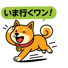 [LINEスタンプ] ふきだし日本犬スタンプ