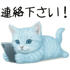 [LINEスタンプ] 推し猫【青】