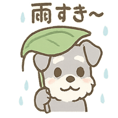[LINEスタンプ] 雨の日あまシュナのやさしい日常