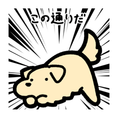 [LINEスタンプ] いつでも使えるゴールデンレトリバー（白）