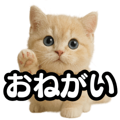 [LINEスタンプ] 子猫verマンチカン2