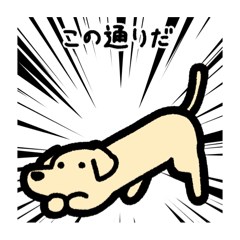 [LINEスタンプ] いつでも使えるダックス（黄）