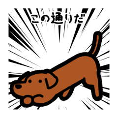 [LINEスタンプ] いつでも使えるダックス（茶）