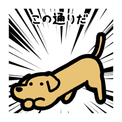 [LINEスタンプ] いつでも使えるダックス（ゴールド）