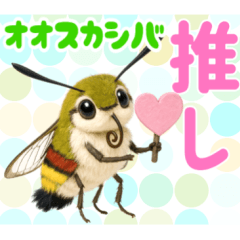 [LINEスタンプ] もふもふでかわいいオオスカシバ推し