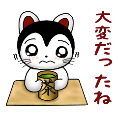 [LINEスタンプ] こまの喜怒哀楽ベスト40選