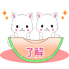 [LINEスタンプ] ちび白モフ18【夏】