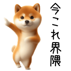 [LINEスタンプ] 踊る！今これ柴犬