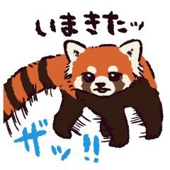 [LINEスタンプ] レッサーパンダです。