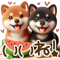 [LINEスタンプ] 真夏の柴犬ブラザーズ︎︎☺︎