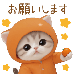 [LINEスタンプ] スコティッシュ猫 みかん服 スイカ帽 敬語