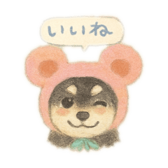 [LINEスタンプ] くま豆さんのスタンプ