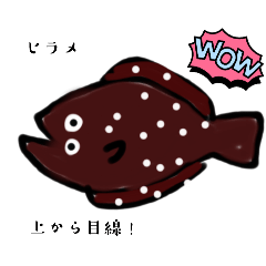 [LINEスタンプ] 魚スタンプ第16弾  〜平べったい魚編〜