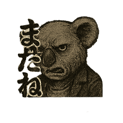 [LINEスタンプ] しぶしぶ 渋いコアラさん スタンプ