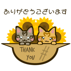 [LINEスタンプ] ちびトラきょうだい12【夏真っ盛り】