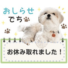 [LINEスタンプ] こいもとこつぶのごあいさつ1