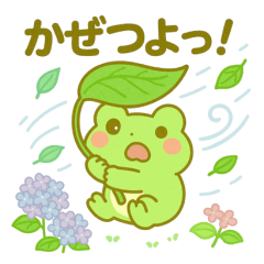[LINEスタンプ] カエルのお天気スタンプ☀️☔