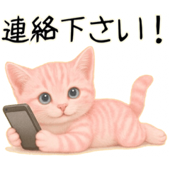 [LINEスタンプ] 推し猫【桃】.