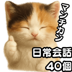[LINEスタンプ] 日常会話verマンチカンの子猫3