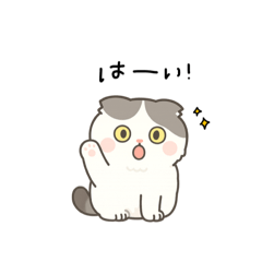 [LINEスタンプ] まんまるスコちゃん3