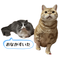 [LINEスタンプ] いなふくスタンプ3