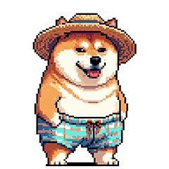 [LINEスタンプ] 夏を満喫 太っちょ柴犬