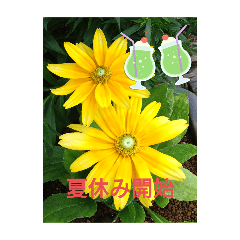 [LINEスタンプ] おもしろひとこと