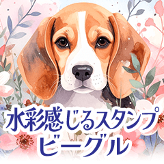 [LINEスタンプ] 水彩を感じるビーグルスタンプ